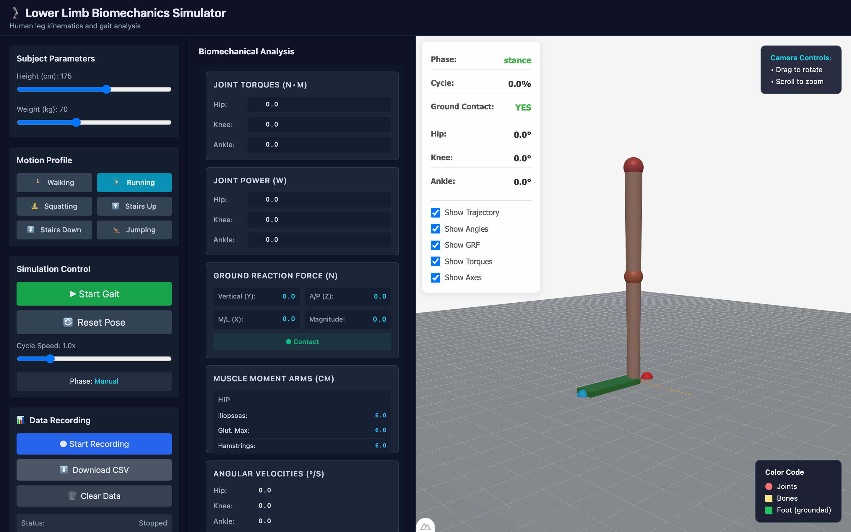 Lower-limb biomechanics simulation